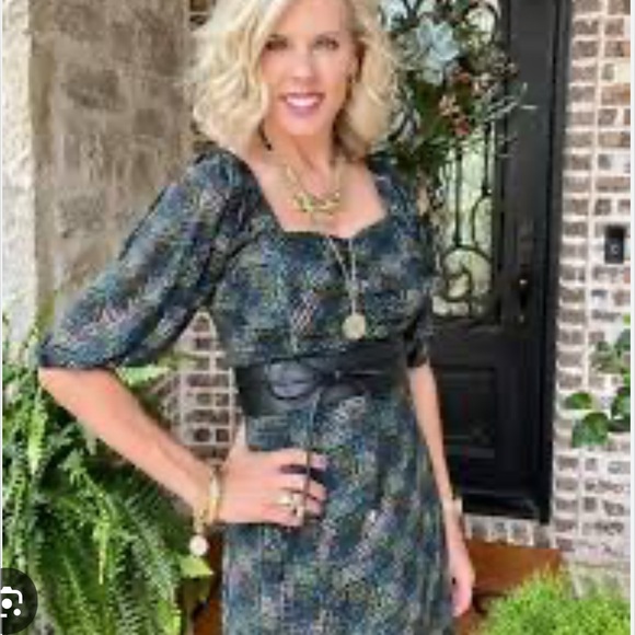 Cabi Elaine Dress - Picture 1 of 11